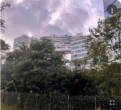The Interlace (D4), Condominium #410871951